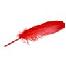 Red_Feather