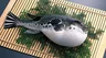 FuguFish