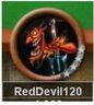 RedDevil120