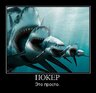 Как играть турниры на 180 человек. 28296. Как играть турниры на 180 человек фото. Как играть турниры на 180 человек-28296. картинка Как играть турниры на 180 человек. картинка 28296