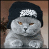 32075.gif