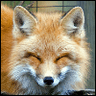 mouzfun