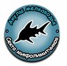 с чего начать изучение покера. Смотреть фото с чего начать изучение покера. Смотреть картинку с чего начать изучение покера. Картинка про с чего начать изучение покера. Фото с чего начать изучение покера