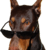 MihoGTeight