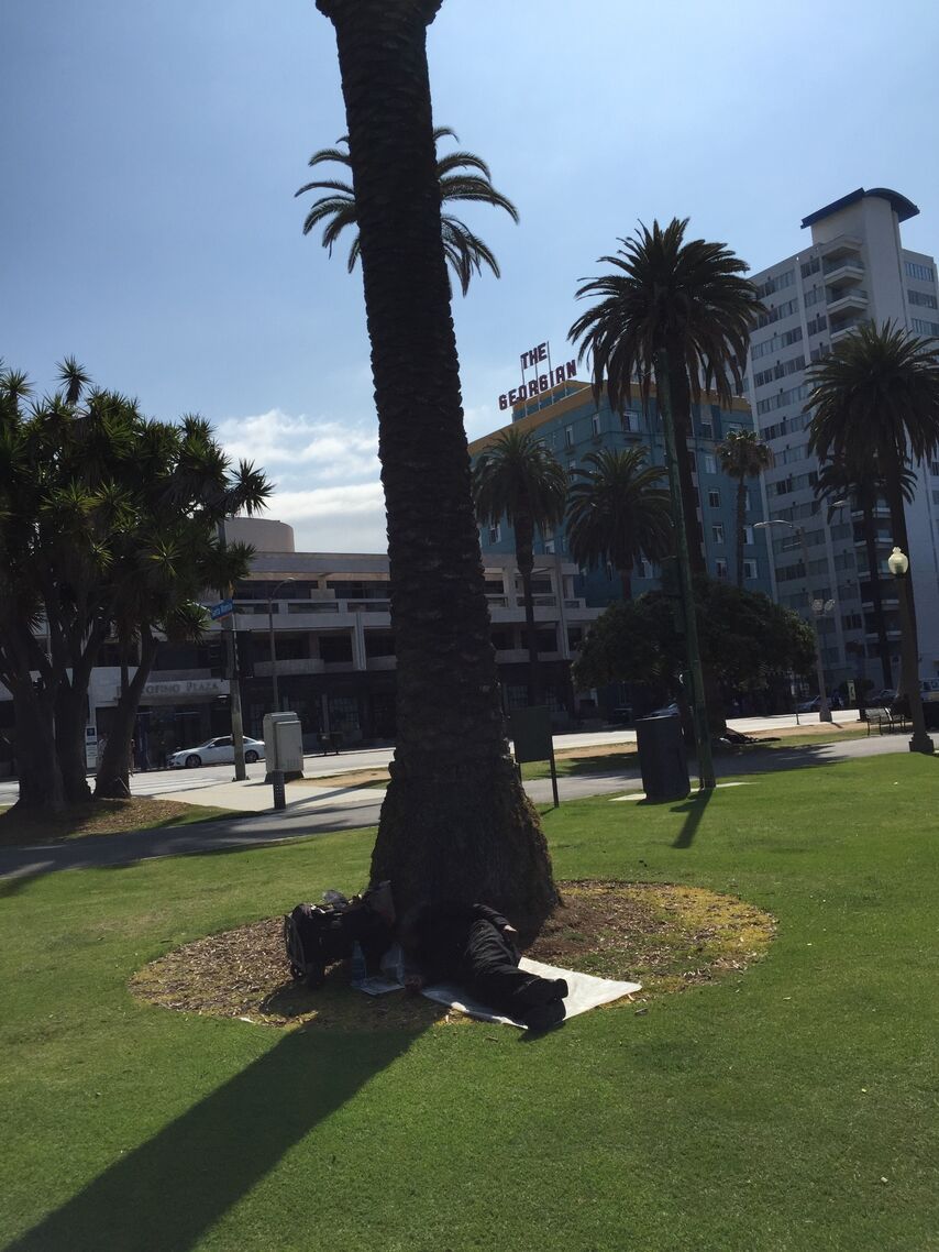 бомж отдыхает под пальмой в городском парке