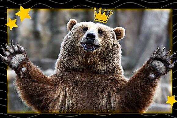 Тест: 10 лет Russian Online Poker League