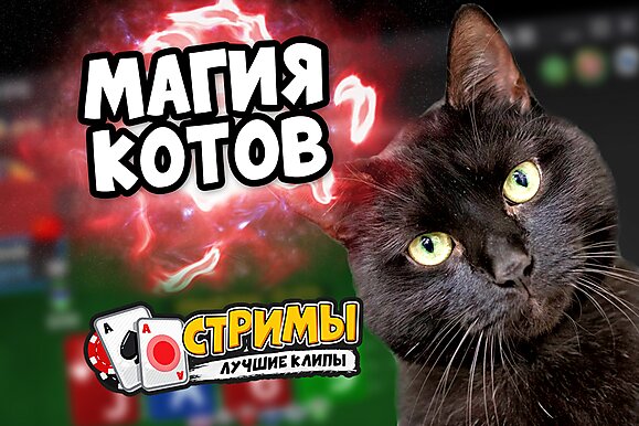 Покерные стримы: Магия котов
