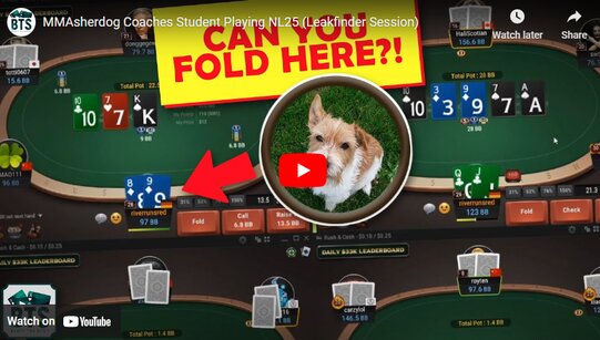 Мы все болеем за то, чтобы ты поставил! MMAsherdog разбирает игру рега NL25
