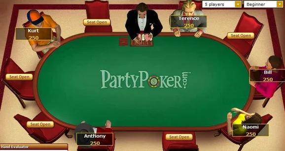 Королева порноиндустрии и юный индус-программист: кто стоял у истоков PartyPoker