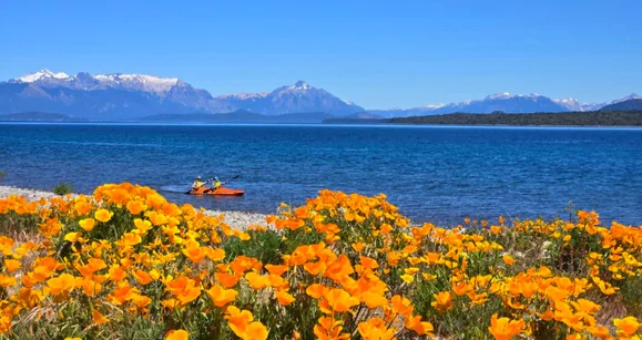 Анчоусы под шубой и салют на пляже: Как празднуют Новый год в разных странах