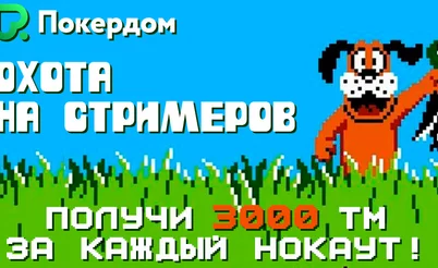 Охота на стримеров: Вудуш, Аврора и другие в новом нокаут-турнире от Покердома