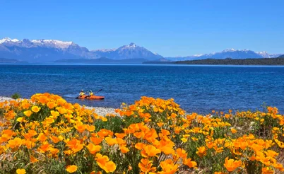 Анчоусы под шубой и салют на пляже: Как празднуют Новый год в разных странах