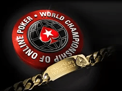 Лучший игрок GipsyTeam на WCOOP 2013