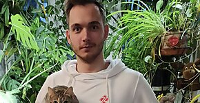Joke703: Играя против тебя, оппонент должен страдать
